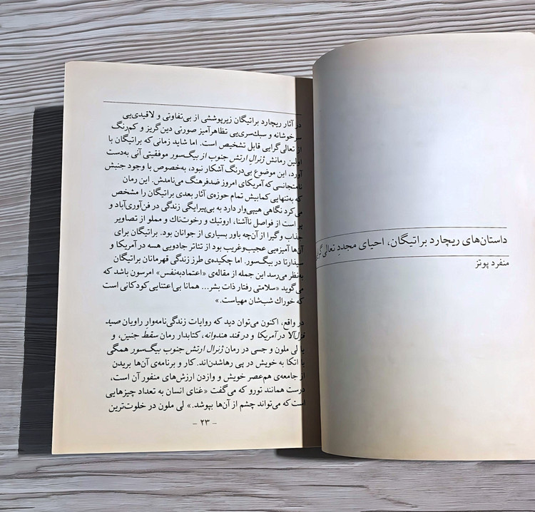کتاب ریچارد براتیگان - نویسندگان آمریکایی