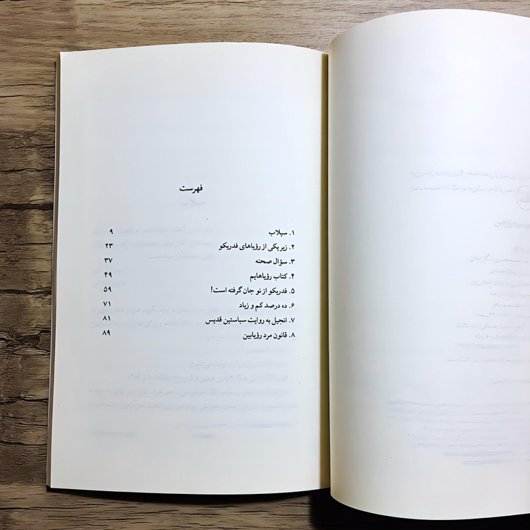 کتاب قانون مرد رویابین - دانیل پناک