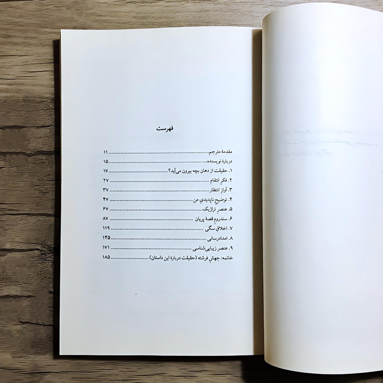 کتاب لنگه کفشی بر پشت بام - ونسان دلوکروا