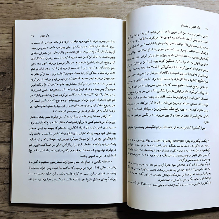 کتاب لنگه کفشی بر پشت بام - ونسان دلوکروا